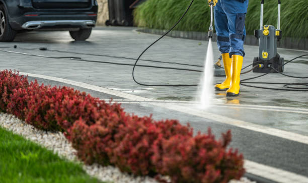 Best Restaurant Pressure Washing  in , WA